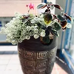 索波特游艇俱乐部旅馆 索波特