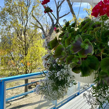 Bed and Breakfast Yacht Club