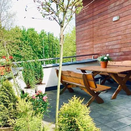 Yacht Club 소포트