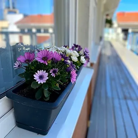 Bed & Breakfast Yacht Club